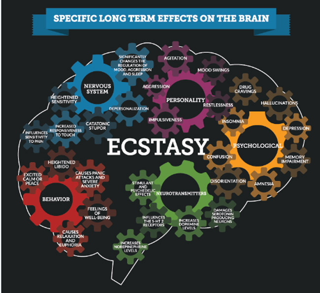 Effect of ecstasy on the brain University of Liverpool Study Women