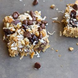 Oatmeal Chocolate Chip
