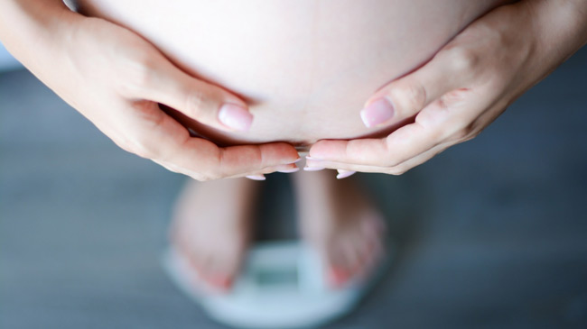 obesity fertility