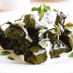 Stuffed Vine Leaves
