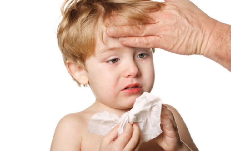 Hand-Foot-Mouth Disease: an Infectious Disease 