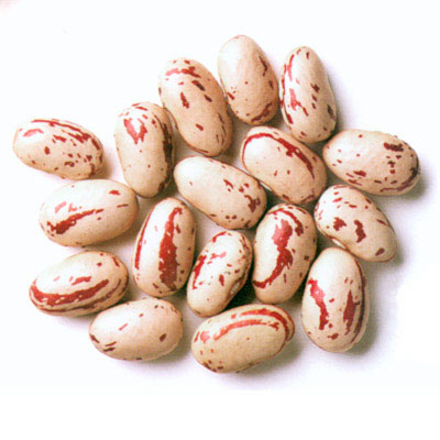 Simple Cranberry Beans