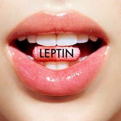 Leptin Resistance