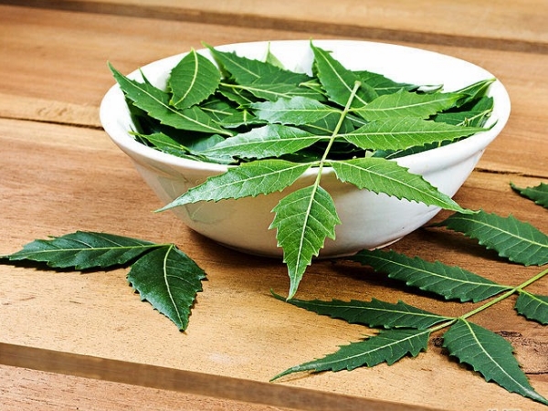 Margosa (Neem): An Amazing Herb For Your Skin