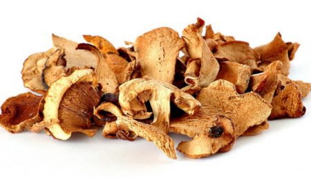 Mushroom Supplement