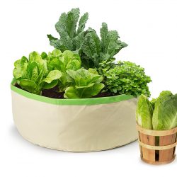Homegrown Gourmet Herbs and Greens Harvest Grow Bag