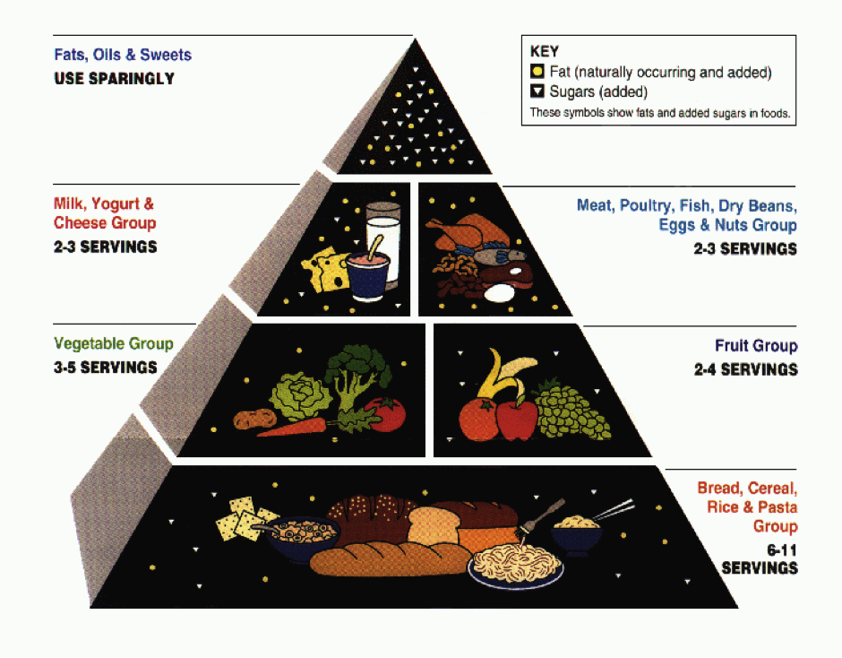 Food Pyramid Women