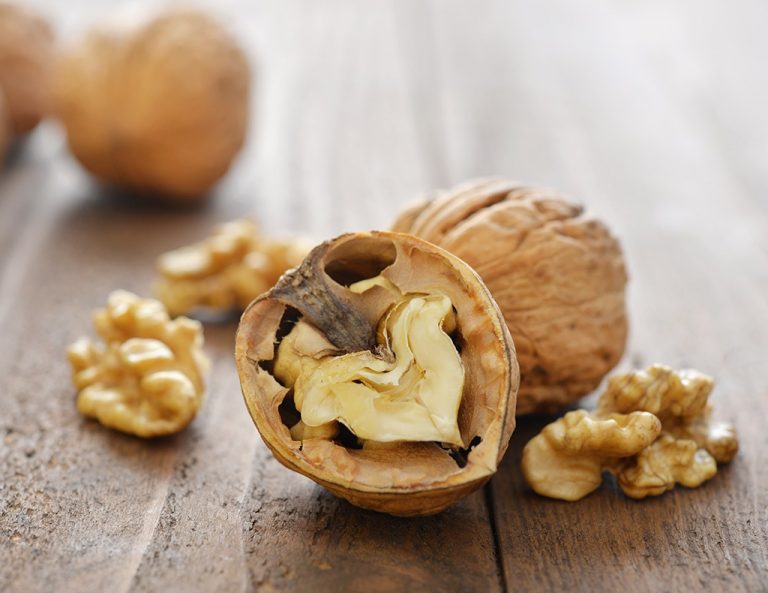 Walnuts A Must to Shed Those Extra Inches Women Fitness