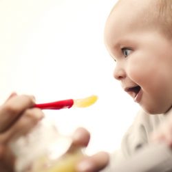 What pediatricians tell parents about early peanut introduction to prevent allergy