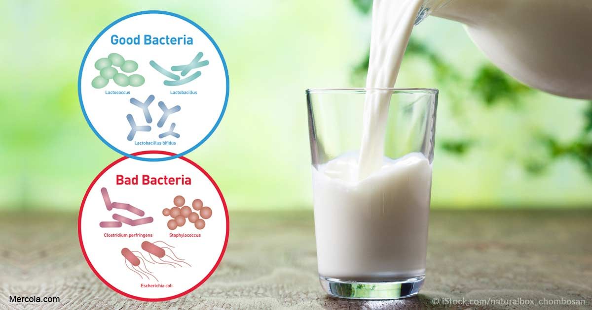 Bacteria in milk and beef linked to rheumatoid arthritis