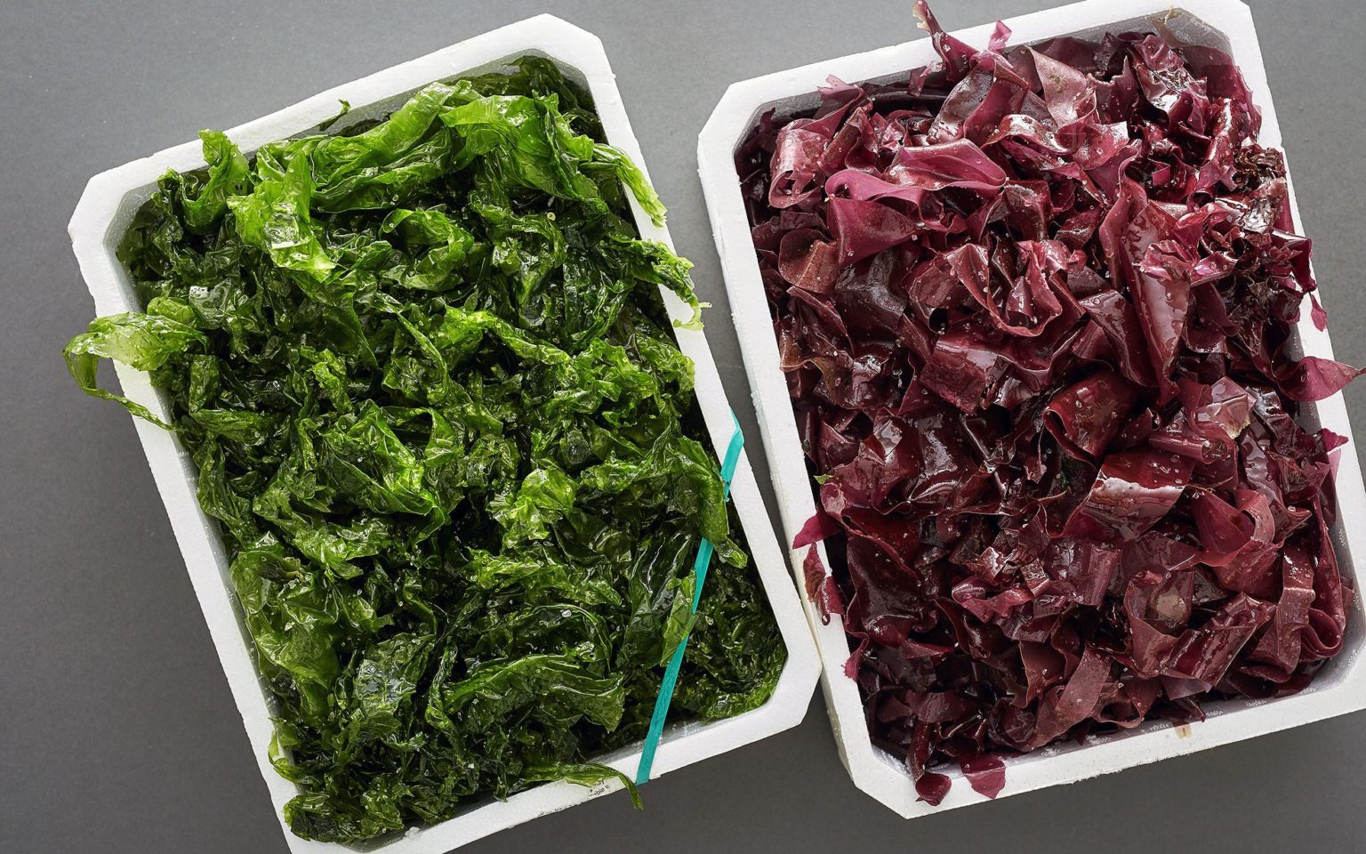 Seaweed Weightoss Help From the Ocean Women Fitness