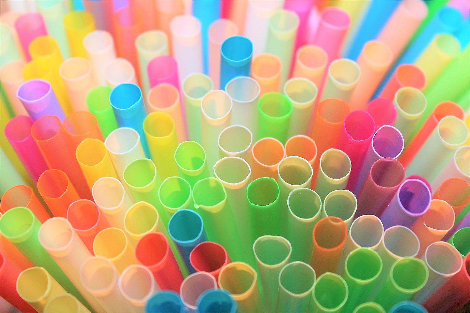 Plastic Straws: Can They be Harmful - Women Fitness