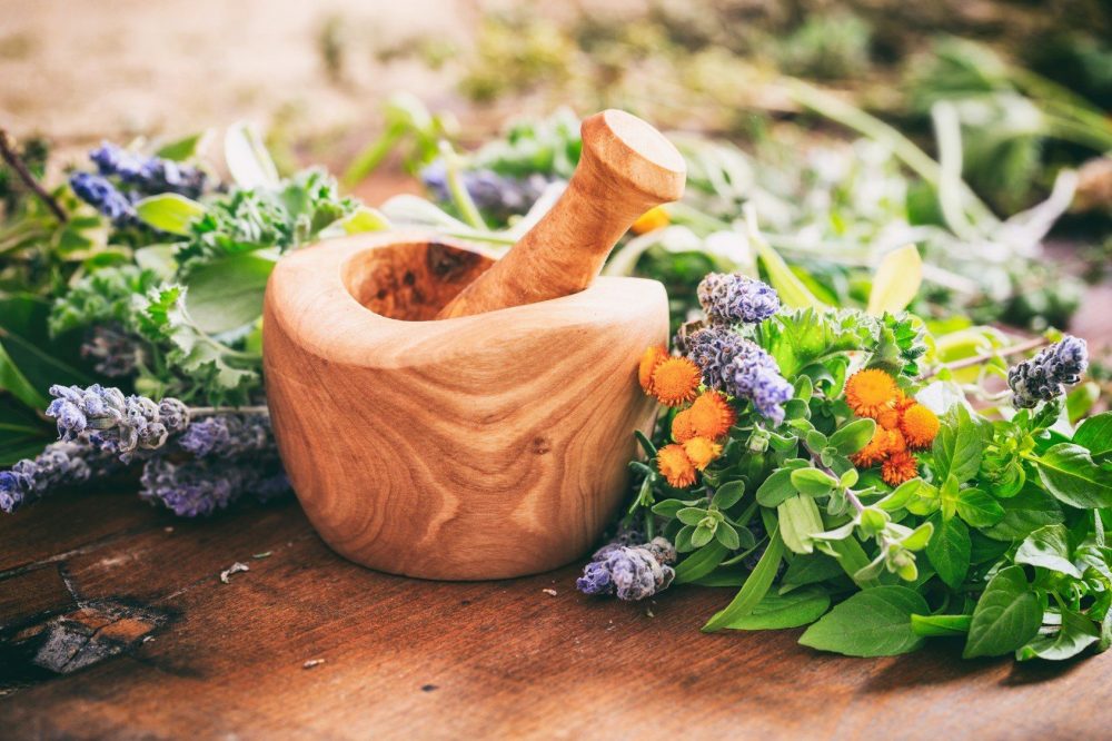 Herbs for a Better Bone Health