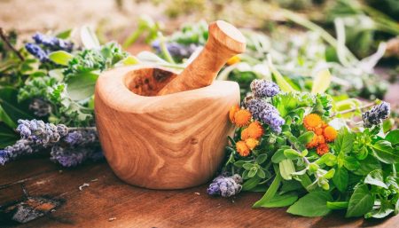 Herbs for a Better Bone Health