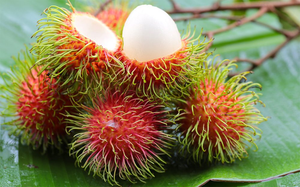 Health Benefits of Rarest and Exotic fruits of the world - Women Fitness