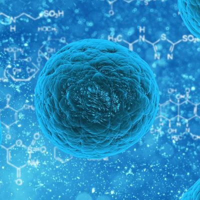 Skin cancer can spread in mice by hijacking the immune system