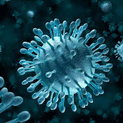 New discoveries on bacterial viruses
