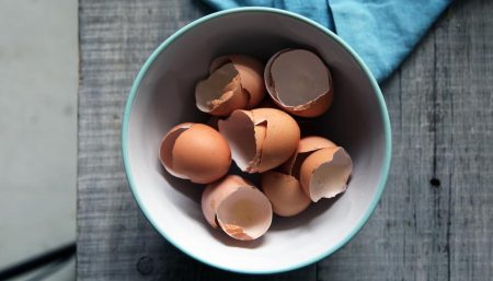 Eggshells can help grow, heal bones
