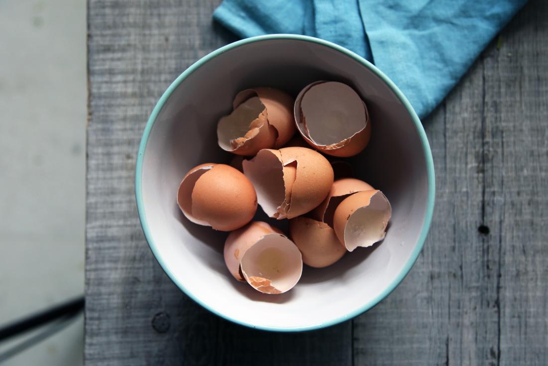 Eggshells can help grow, heal bones