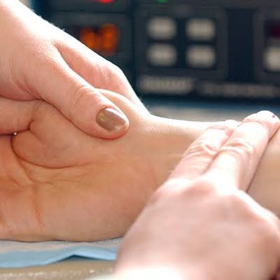 Study of cardiac muscles in flies might help you keep your heart young