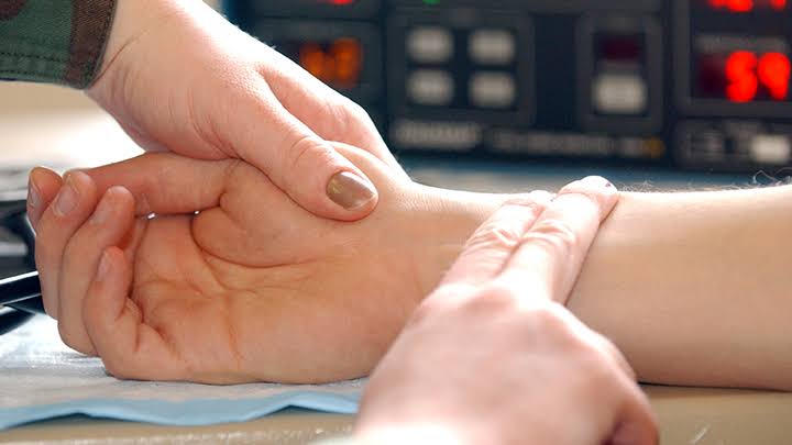 Study of cardiac muscles in flies might help you keep your heart young