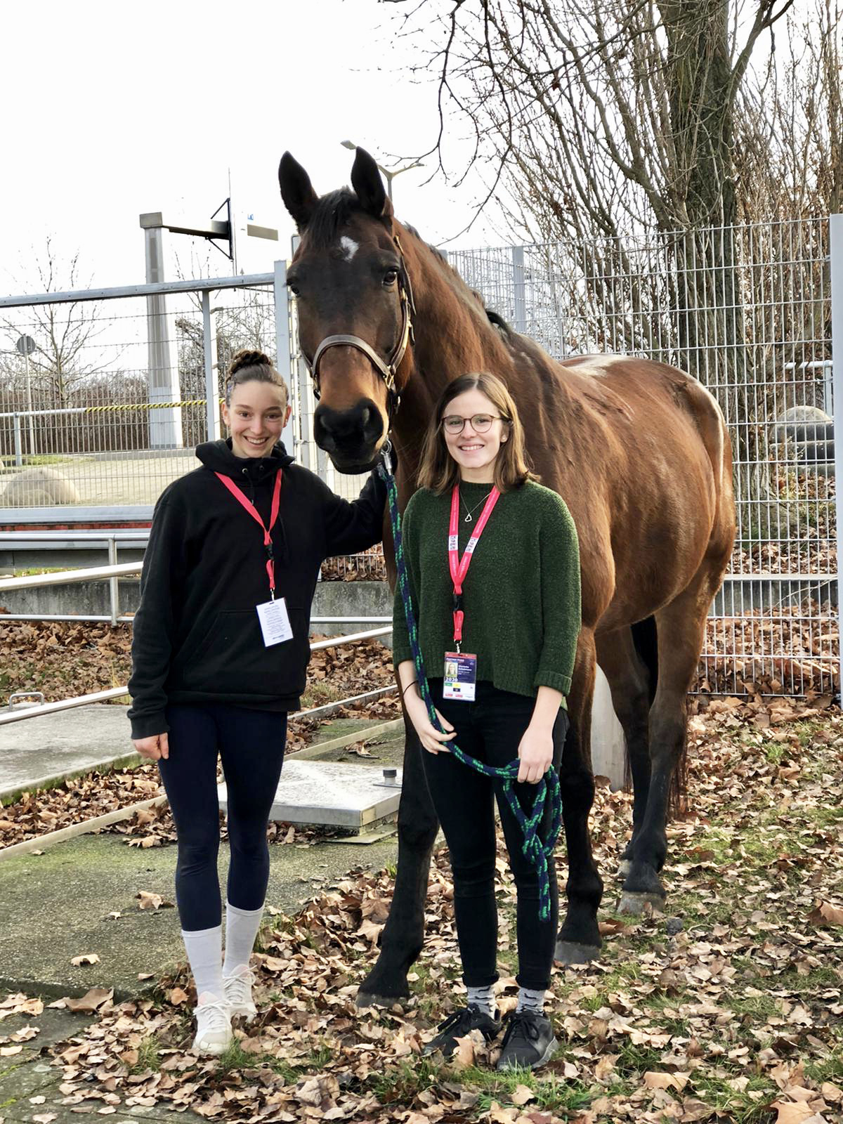 Alina Ross, professional Equestrian