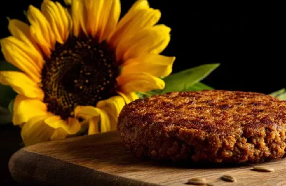 Sunflowers may future of vegan meat