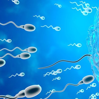 Sperm Race